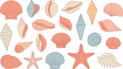Sea shells and starfish collection, ocean beach elements, marine life illustration, tropical summer decoration, coastal nature design, seashell and coral clipart