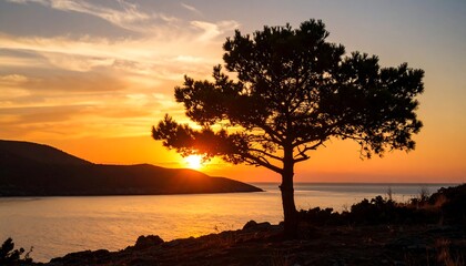 Dramatic sunset over a tranquil bay, featuring a solitary pine tree silhouetted against the vibrant sky