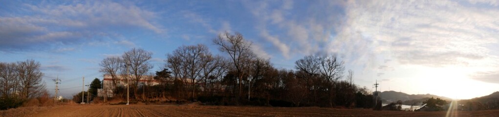 sunset over the field