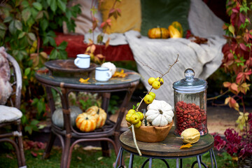 Cozy autumn still life in a garden with rustic table, pumpkins, quinces, glass jar, and warm seasonal decor. Outdoor fall atmosphere with natural colors, homely comfort, and countryside charm, perfect