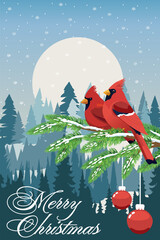 Red birds on a pine branch in a New Year greeting card.Vector Christmas illustration with cardinal birds on the background of the moon and forest.