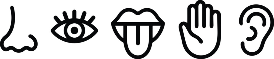 Five senses icons in a row representing human sensory perception