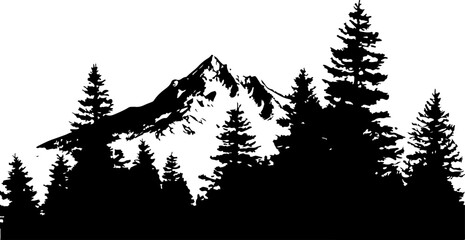 "Monochrome Wilderness"