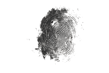 Close-up of unique ink fingerprint on paper isolated on transparent background