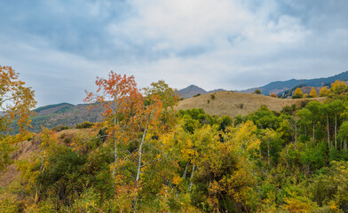 autumn landscape in the mountains