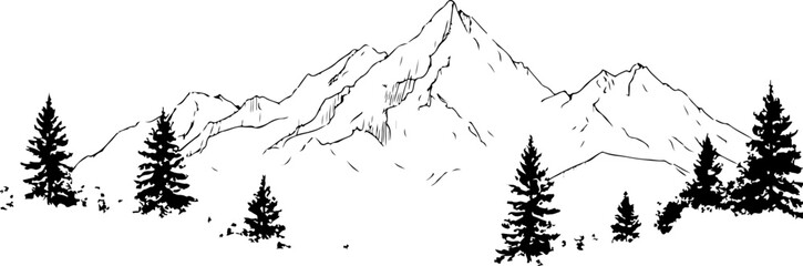 "Monochrome Wilderness"