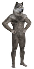 Gray anthropomorphic wolf standing in akimbo pose. 3d rendering on transparent background, no AI used