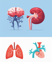 Human Internal Organs Vector Set &ndash; Brain, Lungs, Heart and Kidney Icons