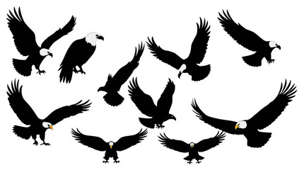Silhouette illustrations of eagles in various flight poses, showcasing wings and beaks.