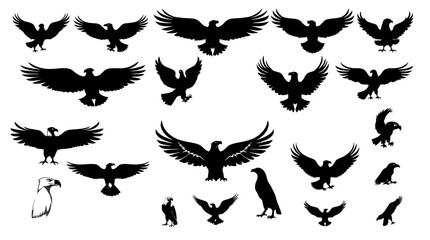 Collection of eagle silhouettes in various poses, including flying, landing, and perched positions, presented against a white background.