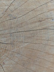 wood texture background