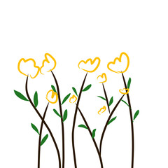 yellow flowers on white background