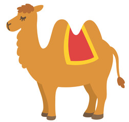 ラクダ　フタコブラクダ　砂丘