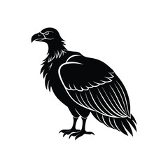 Condor bird silhouette on white background vector art illustration