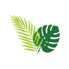 Tropical palm monstera leaves exotic greenery floral botanical nature elements vector