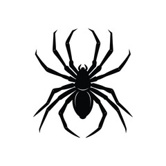 Camel spider arachnid silhouette on white background vector art illustration