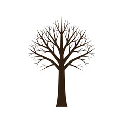 Fototapeta premium Bare tree silhouette autumn winter season branches detailed vector vector