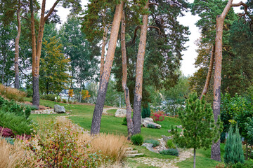 A public place.
Summer city park, urban park landscaping, plants, trees