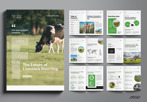 Digital Brochure Layout for Reports Case Study