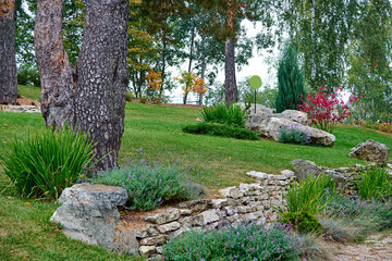 A public place.
Summer city park, urban park landscaping, plants, trees