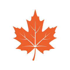 Vibrant orange maple leaf autumn season nature symbol isolated vector