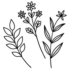 Botanical Line Art Collection