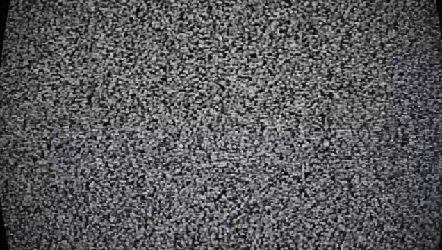 Static noise fills the frame, creating a textured, abstract pattern of gray and white specks.