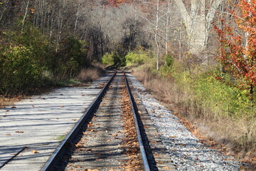 Fototapeta premium railroad tracks in autumn