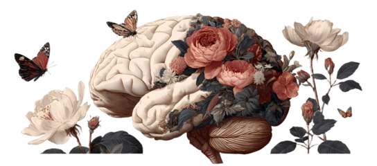 Human brain with flowers and butterflies, self care and mental health concept, positive thinking, creative mind,