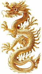 Fototapeta premium Red and Black Ink Dragon on White Background