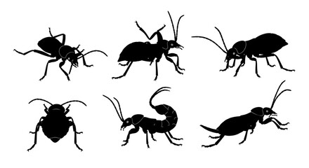 Silhouetted beetles isolated on white background, showcasing various poses and shapes