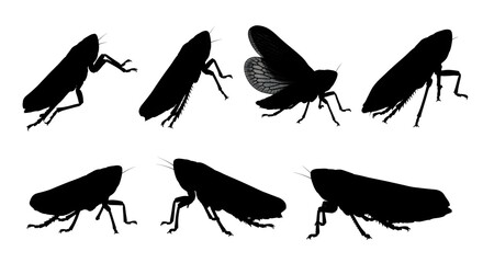 Collection of planthopper silhouettes isolated on white background, various stances