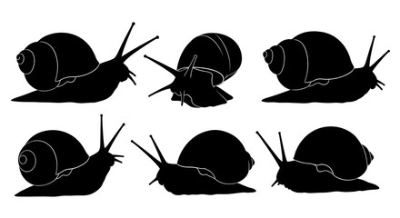 Silhouetted snail isolated on white background, showcasing various poses and positions
