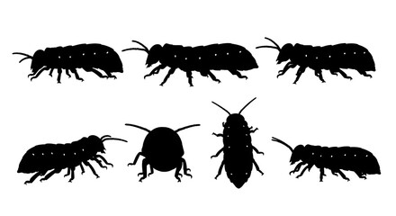 Collection of beetle silhouettes isolated on white background, showing various angles