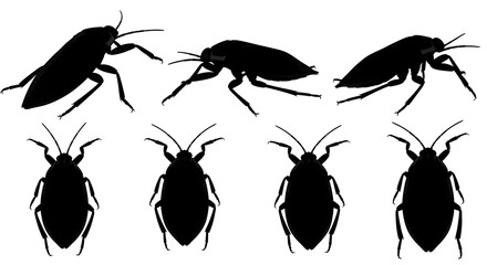 Silhouettes of cockroach isolated on white background in various positions