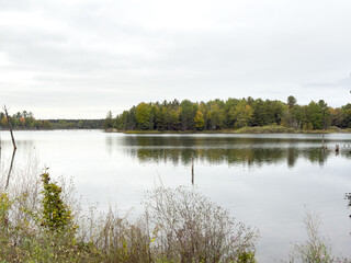lake in the forest