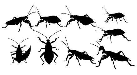 Silhouette of various insects isolated on white background, showcasing diverse forms