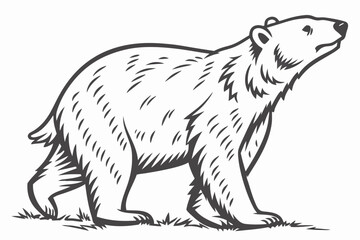 Urban Nature Vector: Woman, Flying Eagle, and Strawberry Illustration