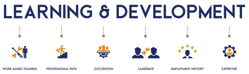 Learning and Development vector infographic banner. Concept of professional growth with icons for training, career path, and expertise. Modern flat illustration for business and HR presentations.