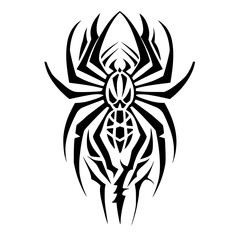 spider on a white background