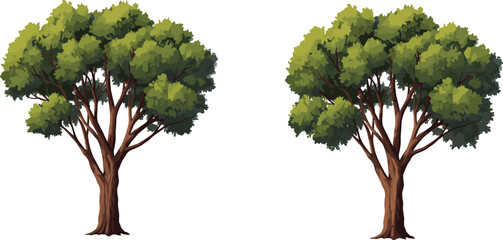 Realistic green trees with detailed branches and foliage, natural forest vegetation design, eco friendly nature artwork, cad drawing flat vector illustration © Nur Creations