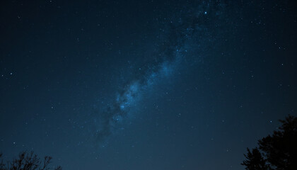 Fototapeta premium Milky Way Galaxy Over Trees