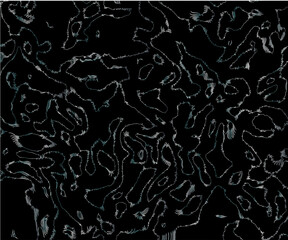 black and white seamless pattern