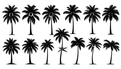 Silhouettes of various palm trees on a white background perfect for tropical and vacation themes.