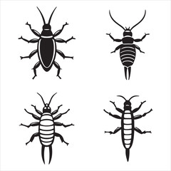 A Creepy Nocturnal Earwig Insect, a Pincered Dermaptera Garden Pest with Distinctive Forceps, a Common Creature of Folklore and Urban Legend