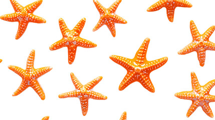 Bright orange starfish found Isolated transparent on white background