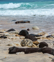 Diverse collection of smooth stones on a sandy shore with breaking ocean waves