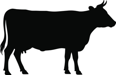 Black silhouette of a standing cow in profile view, farm animal illustration, livestock vector graphic isolated on white background