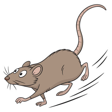 Rat Running Images – Browse 62,248 Stock Photos, Vectors, and Video ...