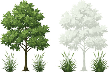 Beautiful seasonal tree with green foliage and grayscale illustration, natural garden plants with grass, eco decorative landscape design for spring and summer seasons